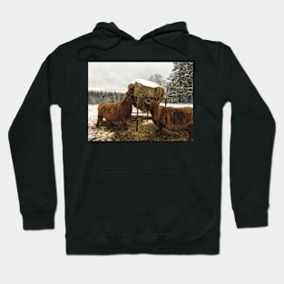 Scottish Highland Cattle Cows 2179 Hoodie